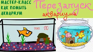 Перезапуск аквариума и как правильно промыть грунт!!!