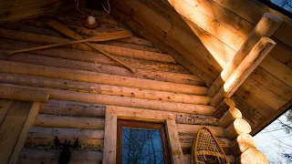 Off Grid Cabin in the Forest: Raising the Roof and the Power of Inertia