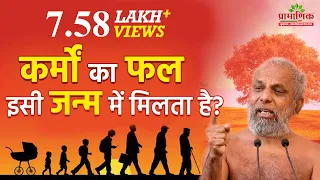 कर्मों का फल इसी जन्म में मिलता है? | When we get fruits of our actions? | Muni Pramansagar Ji