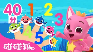 從一數到五 數字兒歌合集 |  嘟嘟嘟 鯊魚舞 鯊魚歌 童謠串燒 幼兒音樂 兒童歌曲 | 鯊魚寶寶 Baby Shark 碰碰狐 Pinkfong