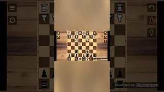 Дебюты♟