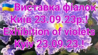 🇺🇦Виставка фіалок Київ 23.09.23р.!Exhibition of violets Kyiv 23.09.23.!
