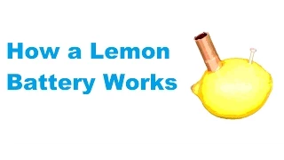 How a Lemon Battery works.