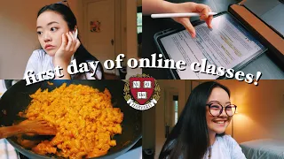 first day of online classes: harvard sophomore vlog! || pre-med neuroscience 🧠