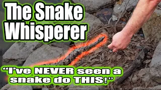 The Snake Whisperer: I've NEVER seen a snake do this! #snake #amazing