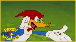Woody Woodpecker | Party Animal | Full Episodes