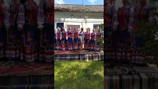 Хор "Вишиванка"-пісня "Вишиванка"