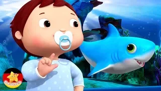 Baby Hai Tanz | Little Baby Bum | Kinderlieder und Abenteuer