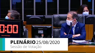 Câmara aprova MP que facilita empréstimos em bancos públicos durante pandemia - 25/08/20 - 20:49