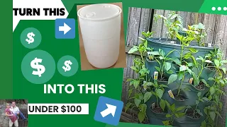 55 Gallon Drum Garden Tower Project Under $100 with Worm Composting Tube How To #DIY #howto #garden
