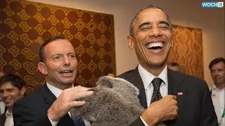 Putin and Obama Break at the G20 to Cuddle Some Koalas