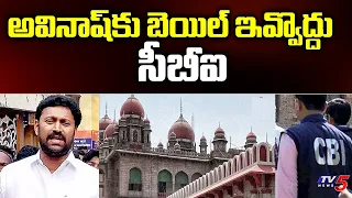 అవినాష్ కు బెయిల్ ఇవ్వొద్దు CBI To Telangana High Court | Avinash Reddy | YS Viveka Case | TV5 News