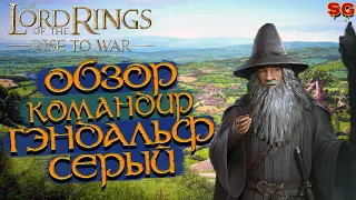 ГЭНДАЛЬФ СЕРЫЙ ГАЙД / ОБЗОР ГЕРОЯ и ПРОКАЧКА ➤ LOTR: Rise To War (Властелин колец Битва воинств)