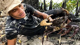 CAPTURANDO E COMENDO CARANGUEJO NO MANGUE - Crab Trap