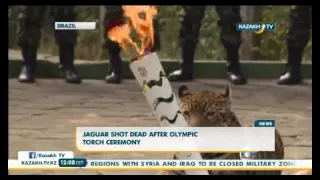 Талисман Игр Рио-2016 застрелен после эстафеты олимпийского огня - KazakhTV