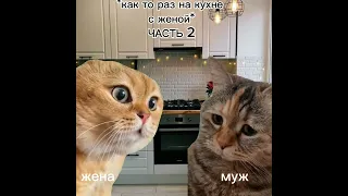 Серия 1 Как то раз на кухне с женой, говорящие коты