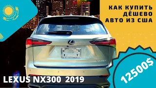 2019 LEXUS NX300 - как купить «подешевле» АВТО ИЗ США 🇺🇸. КАЗАХСТАН 🇰🇿