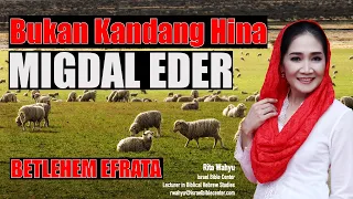 BUKAN KANDANG HINA - MIGDAL EDER - BETLETHEM