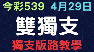 今彩539｜雙獨支｜少年狼539｜4月29日｜獨支版路教學