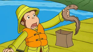 Curious George 🐵George and The One that Got Away 🐵 Kids Cartoon 🐵 Kids Movies | Videos For Kids