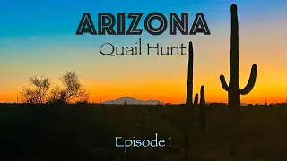 Arizona Mearns and Gambels Quail! part 1-MY First Trip to AZ