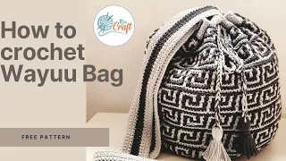 How to Crochet a Wayuu Bag Mochila. A step by step guide. Part1