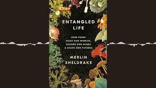 Entangled Life: How Fungi Make Our Worlds, Change Our Minds & Shape Our Futures | M. Sheldrake |2020