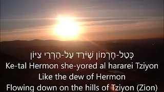 Psalm 133 Tehilim 133 Shir Ha-Ma'alot le-David