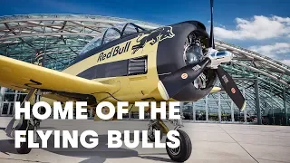 Welcome to the World of the Red Bull Flying Bulls | The Flying Bulls