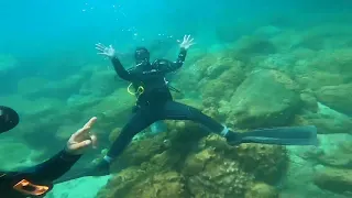 mergulho na ilha dos meros em Paraty RJ