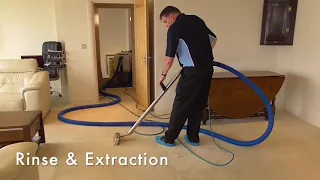 Jute Rug Cleaning How to Clean Carpet