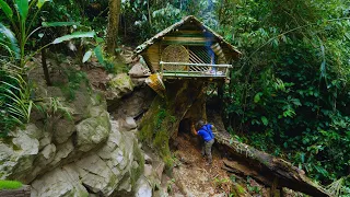 Full Video: 22 days solo Bushcaft & Build a log cabin on an ancient tree in a fairy tale.