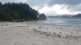 Сейшелы Жизнь на островах