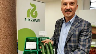 Nowe odmiany ogórka od Rijk Zwaan