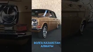 ГАЗ-24 (Цыганочка) Владелец: Василий @vmc_garage_almaty Город Алматы.