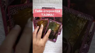 Срочно❗️Перемены которых не ждешь... 🌓✨ Расклад таро #shorts  #онлайнгадание