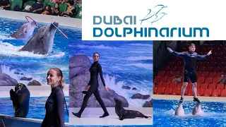 Dubai Dolphinarium | Seal & Dolphin Show | #uaelife #dubaidolphinarium