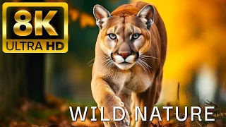 WILD NATURE - 8K (60FPS) ULTRA HD - With Inspiring Cinematic Music  (Colorfully Dynamic)