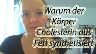 Warum der Körper Cholesterin bevorzugt aus Fett synthetisiert