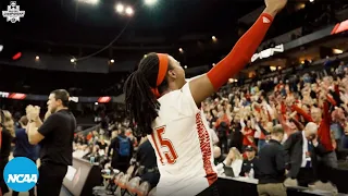 Cinematic highlights: Louisville vs. Pitt — NCAA volleyball semifinals