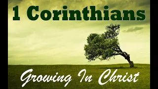 Calvary Cranbrook: The book of 1 Corinthians Chapter 8