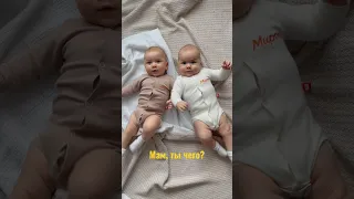 реву #двойня #близнецы #многомама #twins #newborn #многодеточка