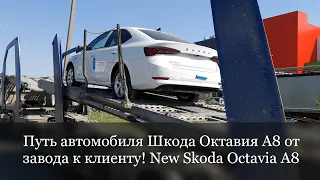 Путь автомобиля Шкода Октавия А8 от завода к клиенту. Предпродажная подготовка New Skoda Octavia A8