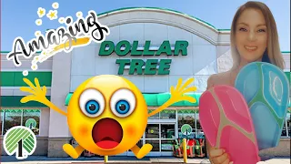 Unbelievable Dollar Tree Finds: Must-Have Amazing Stuff!