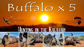 The Final Days - Epic Buffalo Hunting Trip in the Kalahari Desert