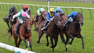 Frankel's half-brother KIKKULI wins impressively at Newmarket for Harry Charlton