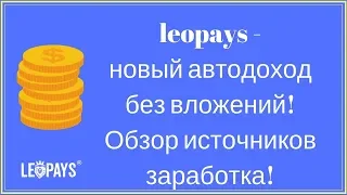 leopays - новый автодоход без вложений! Обзор источников заработка!