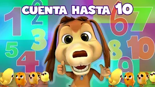 CHOCOLO CONTABA A LOS POLLITOS - MI PERRO CHOCOLO - APRENDE A CONTAR HASTA 10