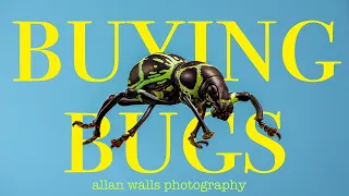 Buying Bugs for Macro Photography - 5 Tips for the Best Experience