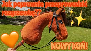 Jak poprawnie przeprowadzić rozgrzewkę przed treningiem?🧡 Co powinno się w niej znaleźć?🧡 NOWY KOŃ!🧡